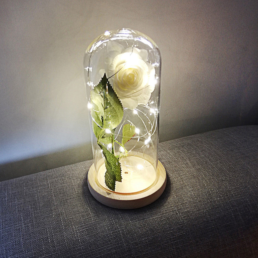 Romantic LED Rose Light - Immortal Flower in Glass Shad